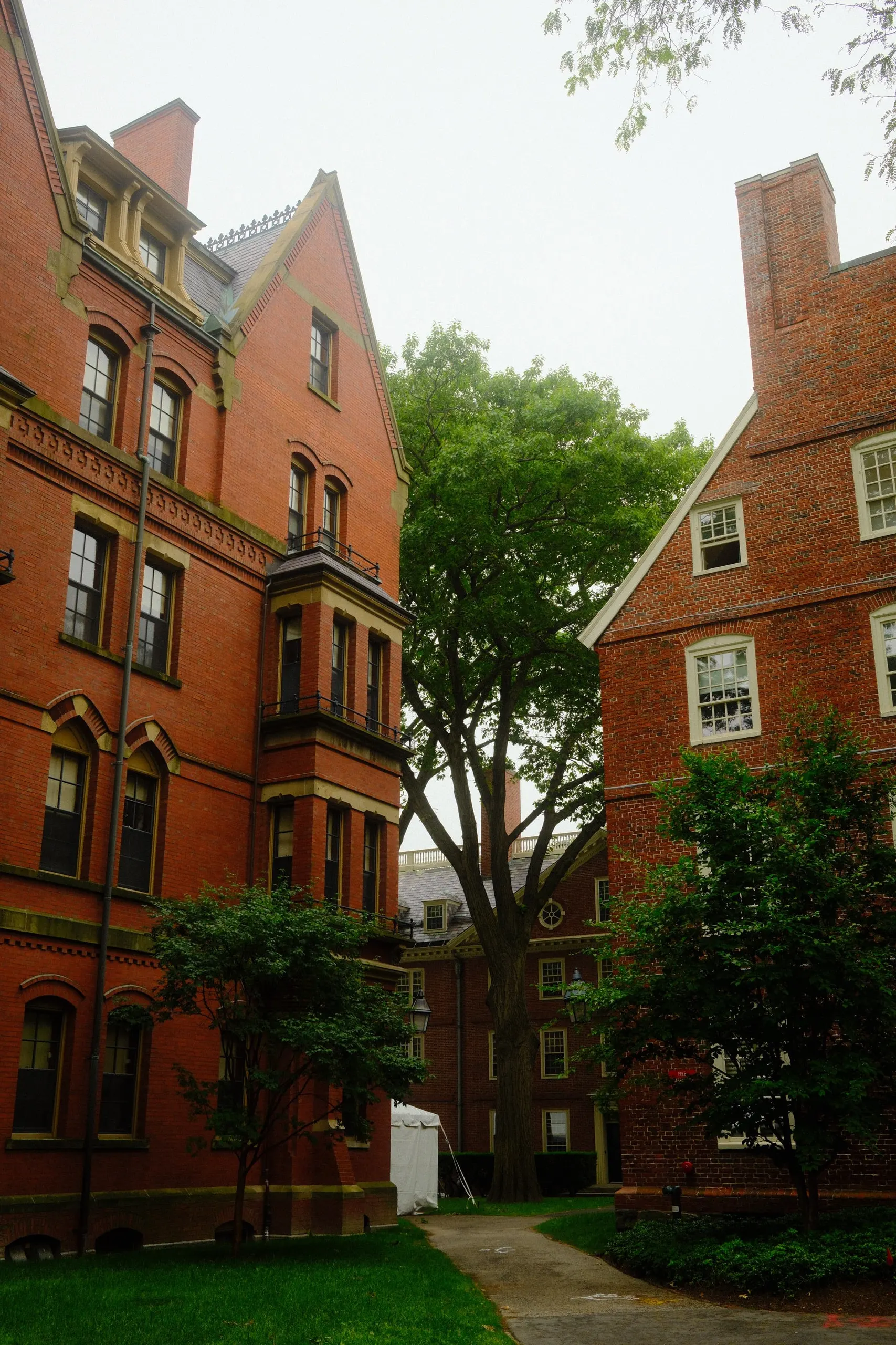 Photo from 2025